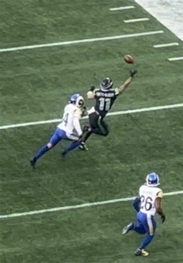 JSN's Incredible One-Handed Catch in NFC Championship