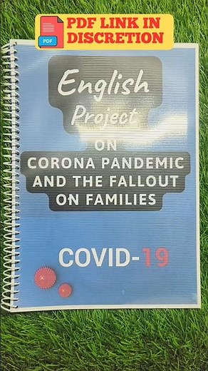 English project file class 12th | Corona Pandemic and The Fallout on Families Project | Class12 CBSE