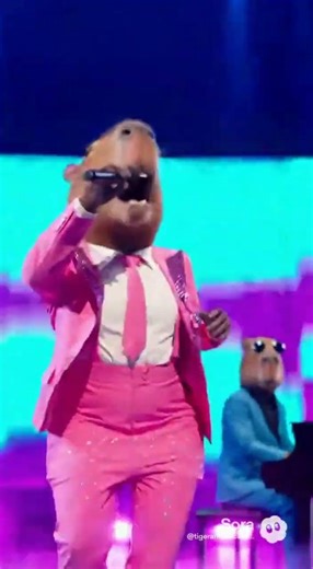 Песня "Капибара" | TigerandUnicorn 🐯🦄 #Капибара #Капибаракапибара # Якапибара #Кабара #капибарапесня