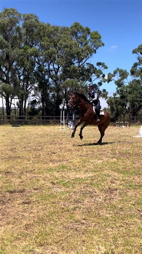 Defensive riding 100% coming out in some jumps, but good schooling today lots of learning experience and knowing when to call it a day #schooling #showjumping #horseriding #80cm #equestrian