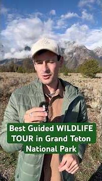 Best Guided Wildlife Tour in Grand Teton National Park (Jackson Hole)