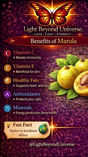 “If this fruit grows near you… 🌿📸 Drop a photo in the comments 👇” #Marula #viral #peace #love #world