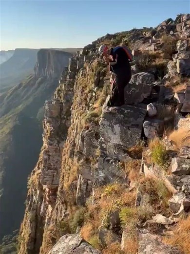 Phoenix-Fly on Reels