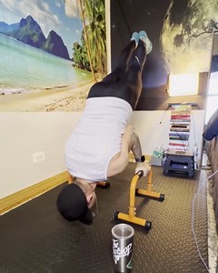 TABEKE Push Up Bar, 14'' High Steel Parallettes & Dip Bar with Full Coverage Foam Handle, Heavy-Duty Calisthenics Parallel Bars for L-Sit, Dips, Home Gym Strength Training Workout