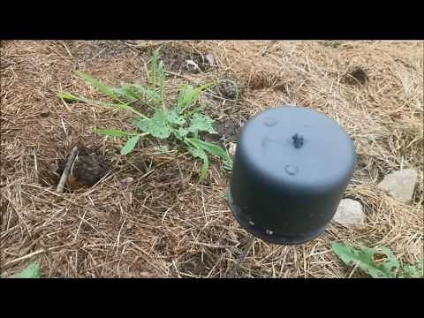 Review of Critter Ridder/Deer Off Rabbit Repellent For Vegetable Garden