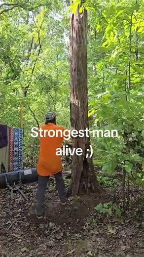 The strongest man alive showing off ;) #treeremoval #silly #cherrios #strong #fun #funnyhoney #tree