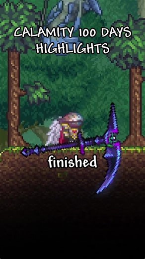 My Calamity 100 Days Highlights #terraria #gaming #fyp #calamitymod