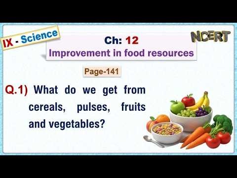 Ch:12 - Pg:141 - Q.1) What do we get from cereals, pulses, fruits and vegetables?