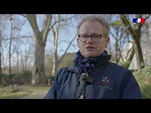 Normal branching of plane trees - ARCHI Method and Architectural Dendro-Markers - DMA 12/21