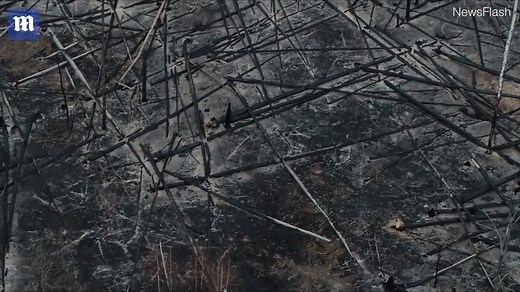 Stunning drone footage shows damage after Chernobyl wildfires