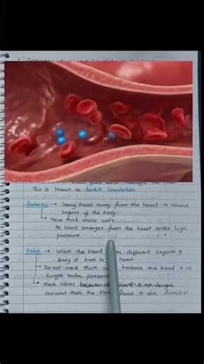 Role of Arteries in Transpiration / Life Processes Class 10 Science notes