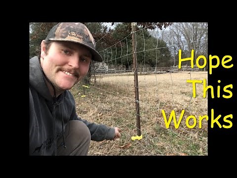 Will Electric Fence Keep The Coyotes Out?