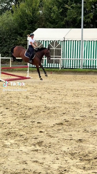 Dieses Pferd springt auch aus jeder Lebenslage 😂😂 #foryoupageofficial #equestrian #springen #fail #seat