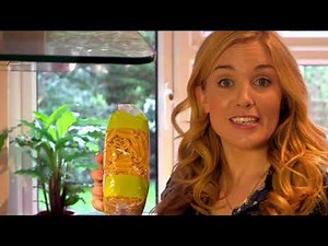 Popcorn and Pasta | Maddie's Do You Know? Series 1, Episode 11 - Full Episode! 👩