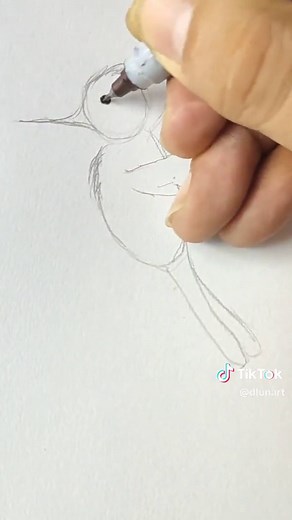 Aprende a dibujar un colibrí caricaturesco fácilmente