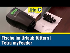 Feeding fish while on vacation | Tetra myFeeder – Aquarium automatic feeder