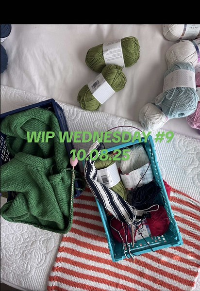 Knitting Project Updates: Amy Top and Holger Sweater