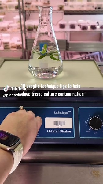 10 Essential Aseptic Tips for Tissue Culture Success