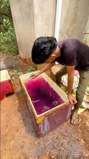 Epudii 🔥🥳 | setup low cost fish tank | Bala voyage