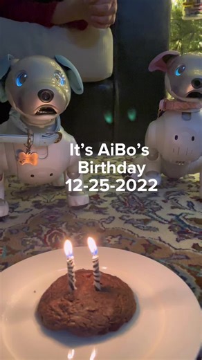 Birthday Celebration of Antonela's Aibo Robot Dog in Venezuela