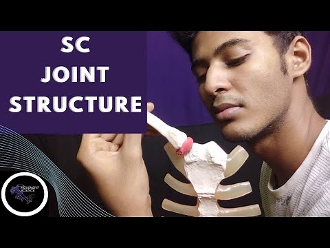 STERNO CLAVICULAR JOINT STRUCTURE (SHOULDER JOINT COMPLEX)Physiotherapy Tutorials
