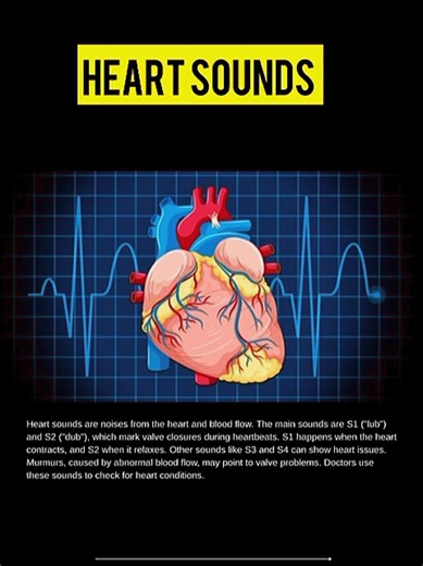 The heart's hidden language. 🫀👂 A simple guide to different heart sounds and the pathologies they indicate. #HeartSounds #Cardiology #MedStudent #NurseLife