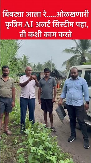 Leopard Alert in Real-Time! 🐆🚨