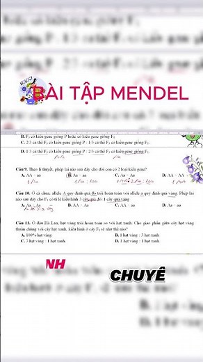 Mendel's Law of Segregation Exercise Outline - Biology 12