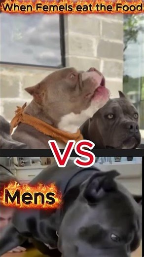 is this true? #shorts #food #enjoy