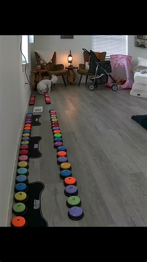 Heartwarming Dog Communication with Buttons