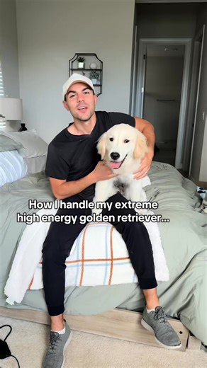 34K views · 1.1K reactions | A literaly bunny rabbit  #dog #dogs #puppy #fyp #husky | Im Blue The Siberian | Facebook