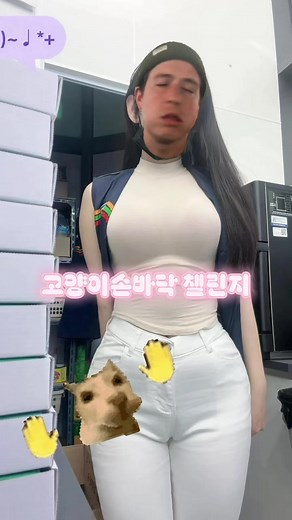 고양이 손바닥 챌린지 하는 법 — 시다바리/배손 챌린지 설명