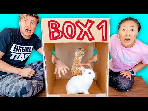 WHAT'S IN THE BOX CHALLENGE with LIVE ANIMALS!!