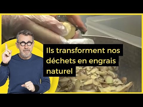 They transform our waste into natural fertilizer - C Jamy