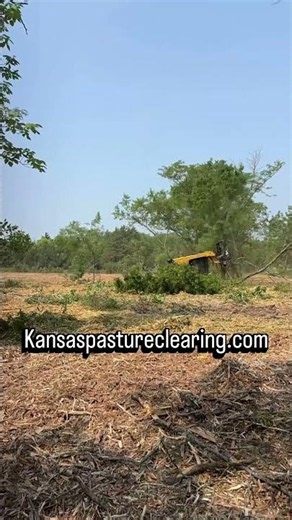 Amazing footage of forestry mulching hedge and locus in Kansas!#forestrymulching #landclearing