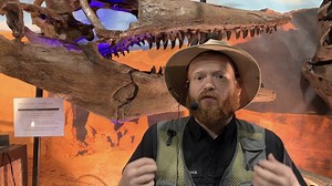 This #fossilfriday meet TYLOSAURUS! Tylosaurus was one of the larger mosasaurs that lived towards the end of the Cretaceous period,‭ ‬something which has secured its frequent inclusion in popular media such as books and television documentaries.‭ ‬Rivals to Tylosaurus in terms of upper size include Mosasaurus and Hainosaurus. #prehistoricnick Beginning in December, be one of the first to see Tylosaursus in ACTION as part of our newest addition - ANCIENT OCEANS! Dive deep beneath the ocean’s surf