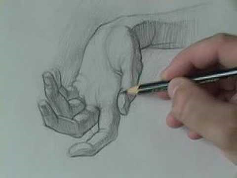 Drawing Tutorials Online.com How to Draw the Hand - Shading