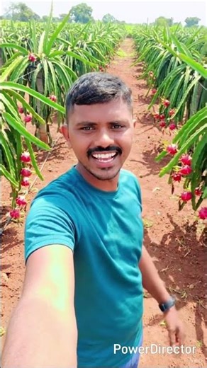 #entertainment #techtime #motivation #tech ड्रेगन फ्रूट के खेत में