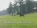 How Great Thou Art...Orchestra Version (with lyrics)