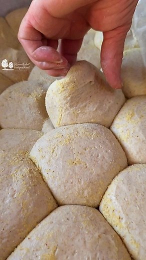 Lebanon's beauty lies in its people, Those who stand firm on their land, Through trials, through losses, they remain, Unbroken, unwavering, hand in hand. In their hearts, the spirit of the land, In their souls, the echo of its past, If they leave, we lose more than just names We lose the very soul that made Lebanon last ❤️🇱🇧 | Juniper Scent