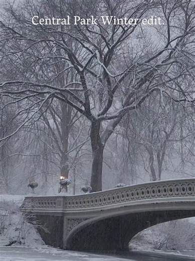 Winter Magic: A Sunday Walk in Central Park