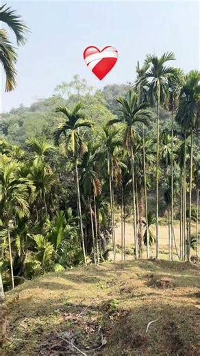 Why the Internet is Revolutionizing Art