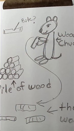 Throwing Things on Instagram: "How much wood can a woodchuck chuck?"