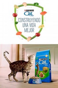 Nuevo Purina® Cat Chow® Defense Nature® con Ingredientes naturales y sin colorantes. | Purina Cat Chow