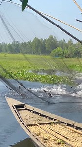 Really😲Amazing Fish Hunting Traps By Khora #khora_fishing #villagelife | Fm Munna Fishing