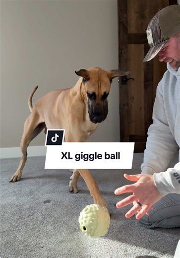 XL Giggle Ball: Perfect Toy for Big Dogs