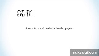 How Mitochondria Produce Energy on Make a GIF