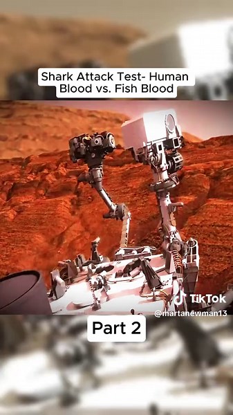 Shark Attack Test- Human Blood vs. Fish Blood | shark attack