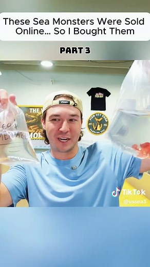 Unveiling the Sea Monsters: Mystery Box Part 3