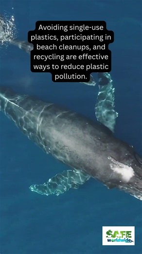 Wild and wonderful wildlife: Marine life is threatened by plastic pollution. #wildlife #marinelife
